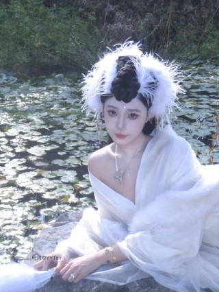 鹅鹅的秘密 2025-01-12 00:49:11 锦毛鹅鹅
