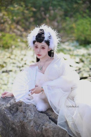 鹅鹅的秘密 2025-01-12 00:49:11 锦毛鹅鹅