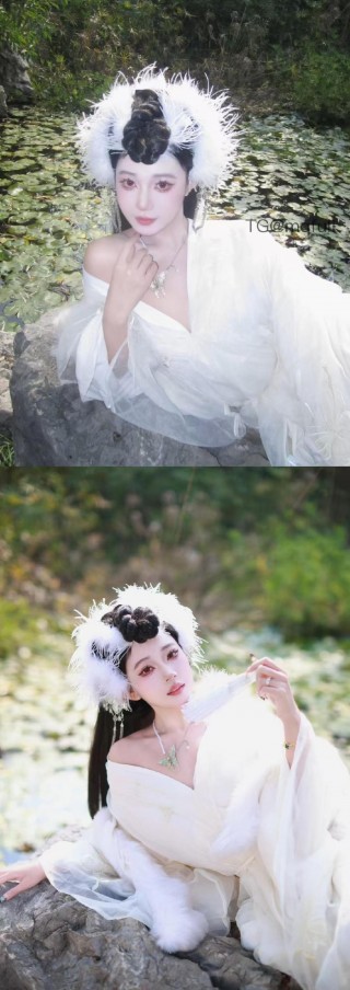 鹅鹅的秘密 2025-01-12 00:49:11 锦毛鹅鹅