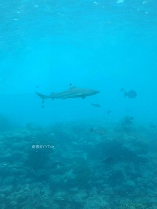 独留 2025-01-31 08:42:43 不需要调色的海🥹