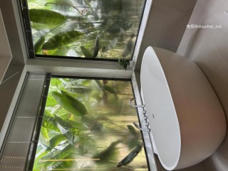 希希Gina 2024-06-12 14:45:52 香香的 泡泡浴