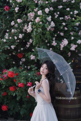 伊南Alicia 2025-06-09 17:54:56 约定