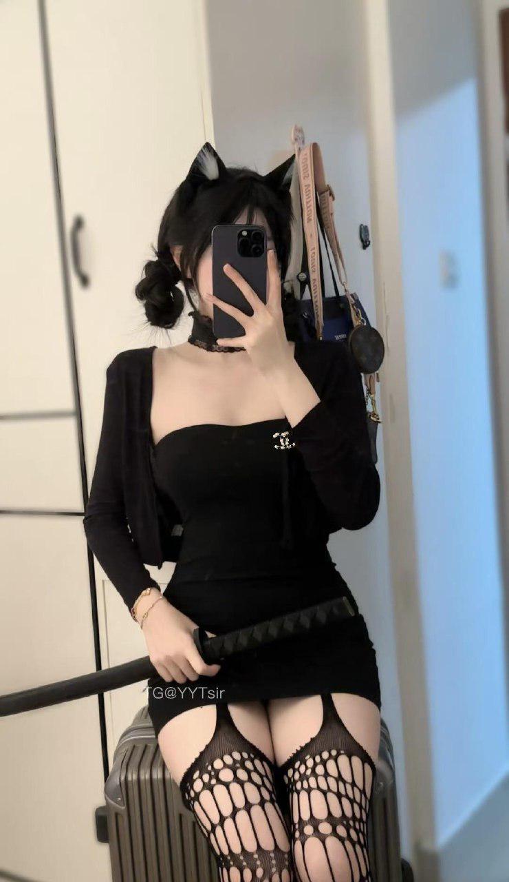 樱桃小狗 2025-04-27 13:46:30 照片