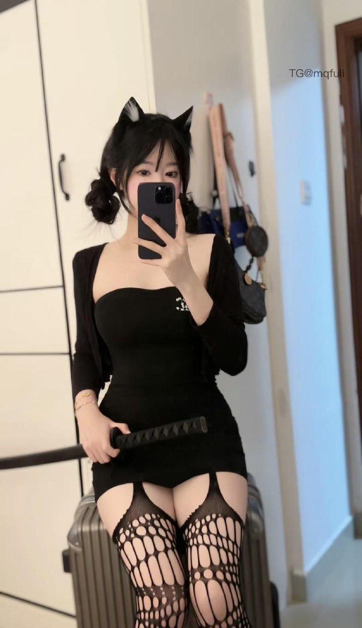 樱桃小狗 2025-04-27 13:46:30 照片