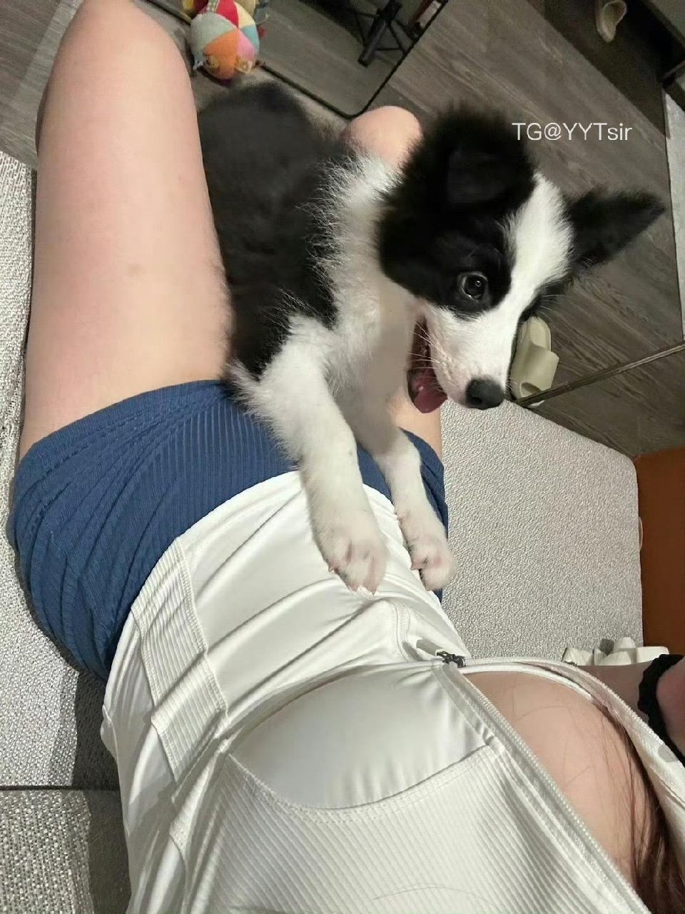 崽崽 2025-05-24 14:02:35 一组腰图